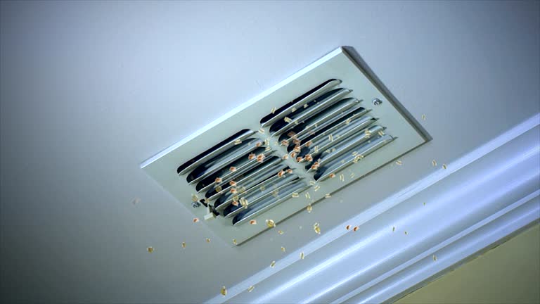 Best HVAC Air Duct Cleaning  in Sherman, IL