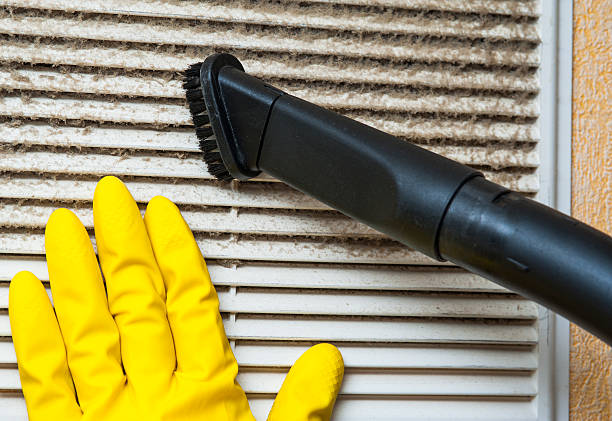 Best HVAC System Cleaning  in Sherman, IL